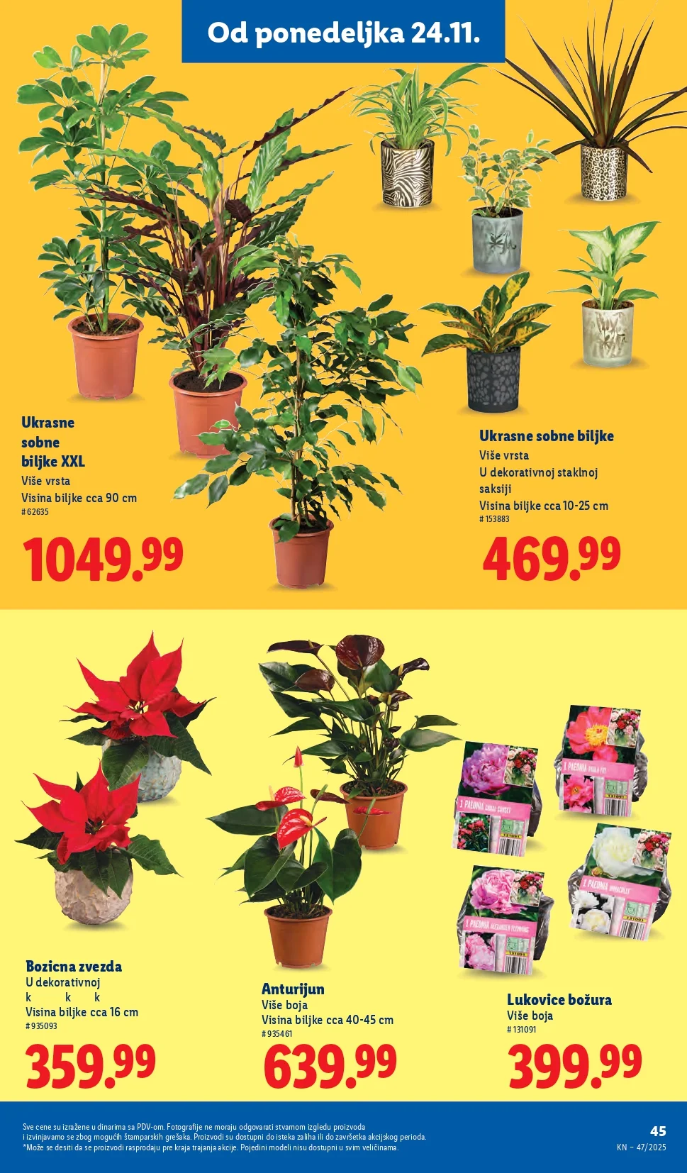Lidl katalog 20-27.11.2025.