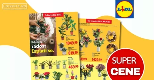 Lidl CVEĆARA 25-30.12.2025.