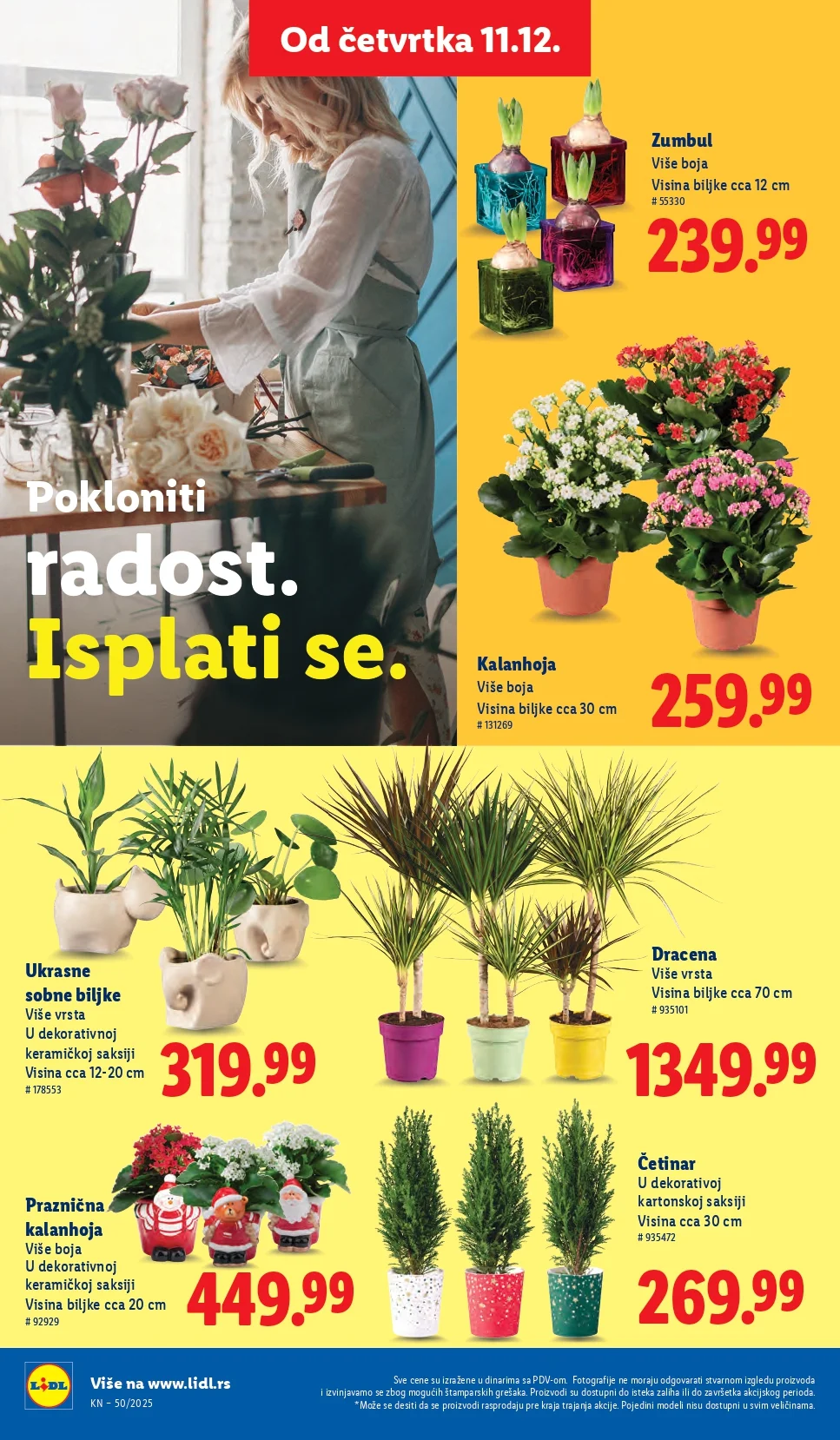 Lidl katalog 11-17.12.2025.
