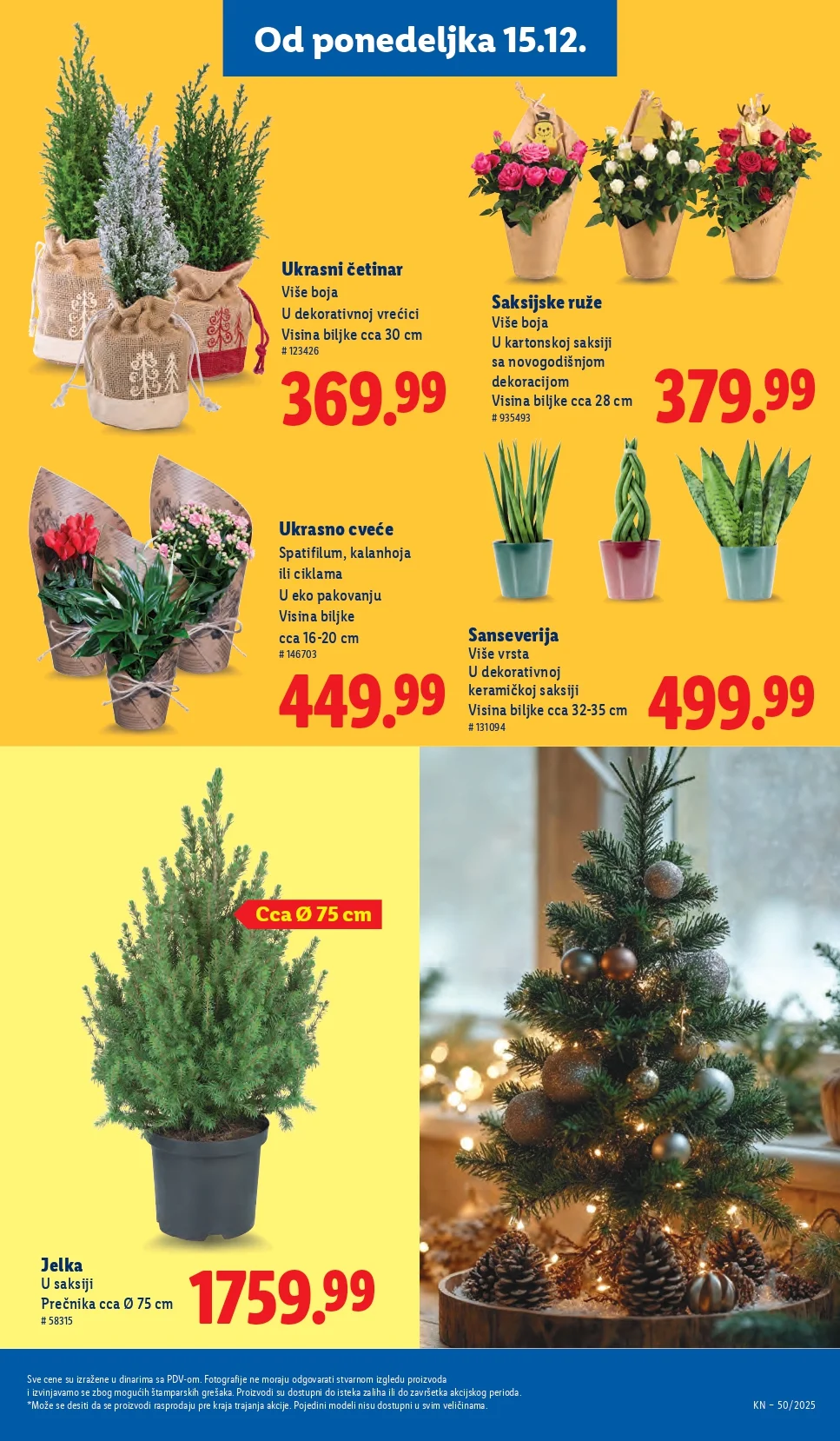 Lidl katalog 11-17.12.2025.