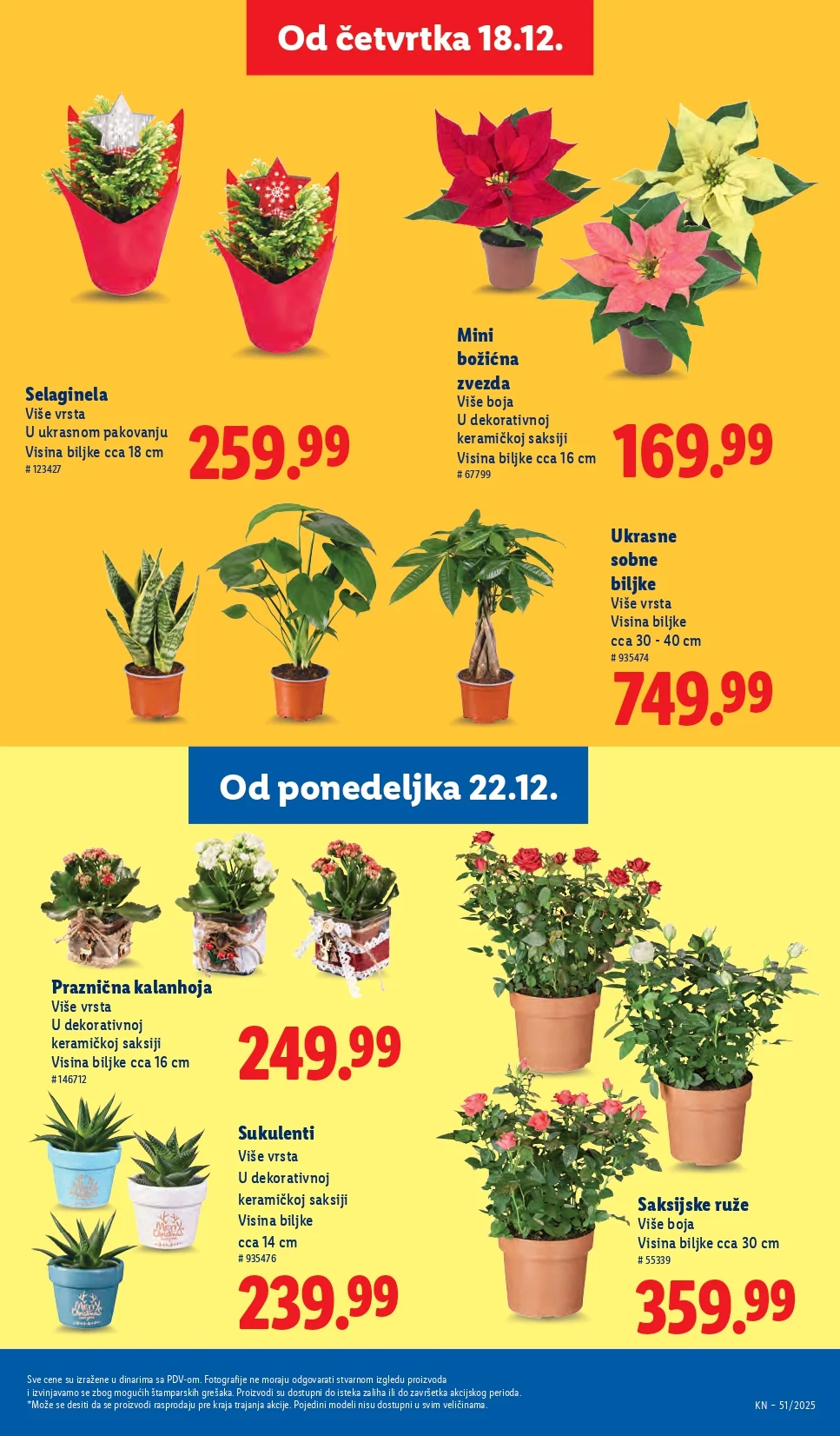 Lidl katalog 18-24.12.2025.