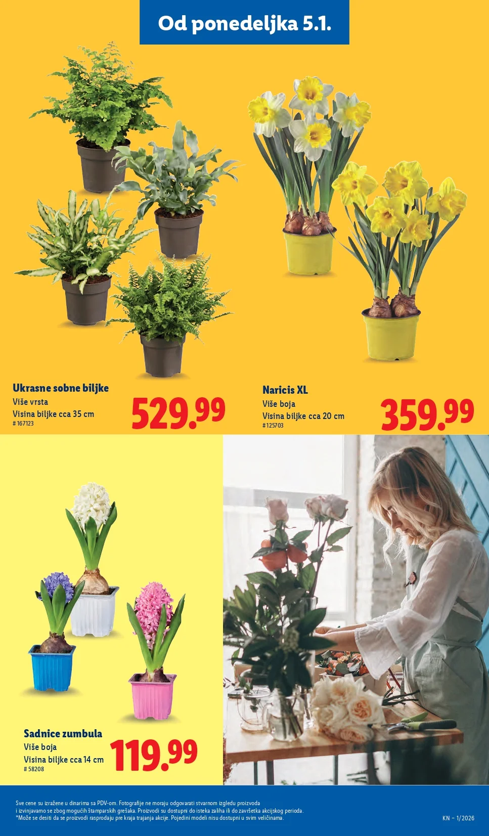 Lidl katalog 2-6.1.2026.
