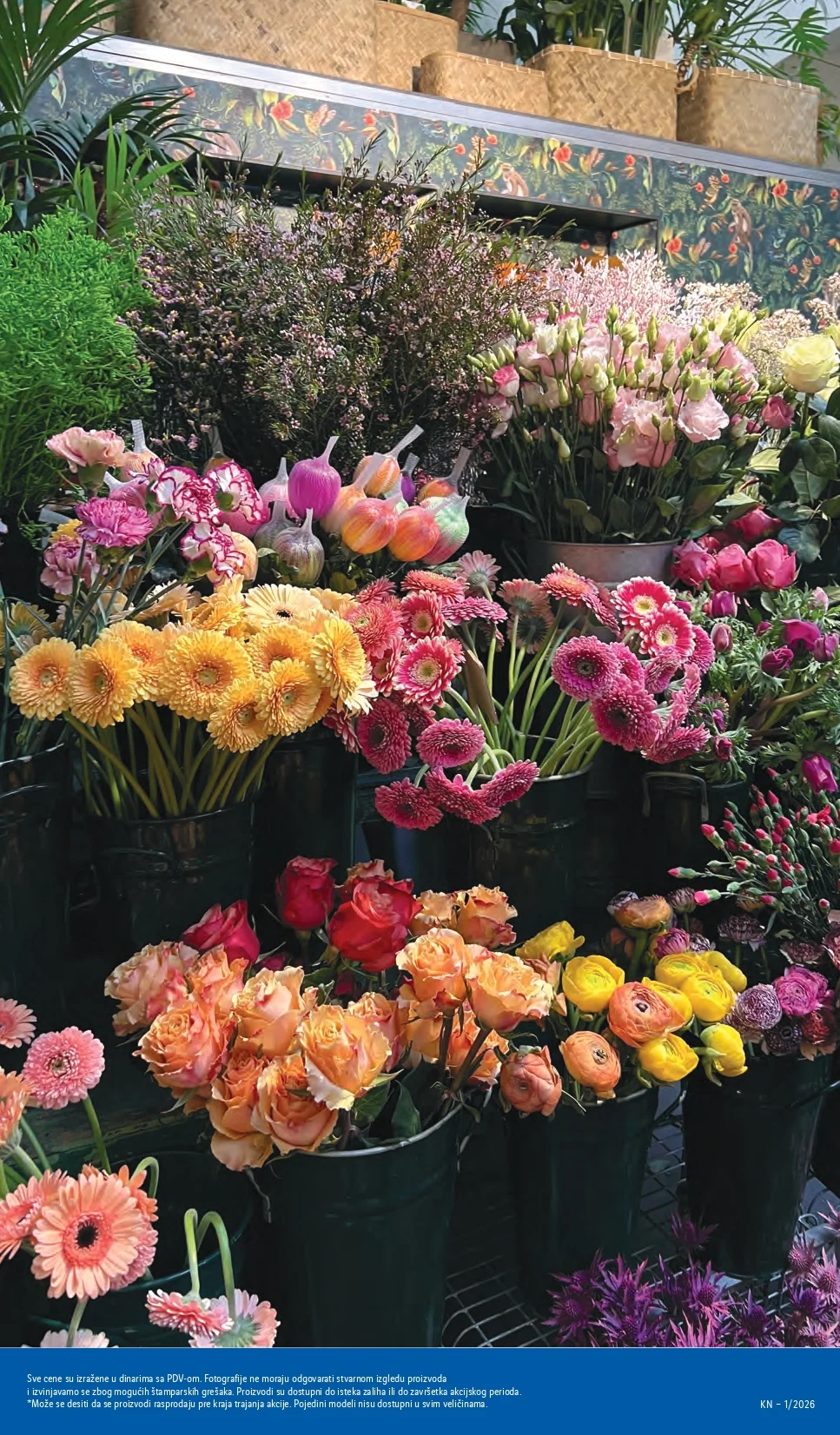 Lidl katalog 2-6.1.2026.