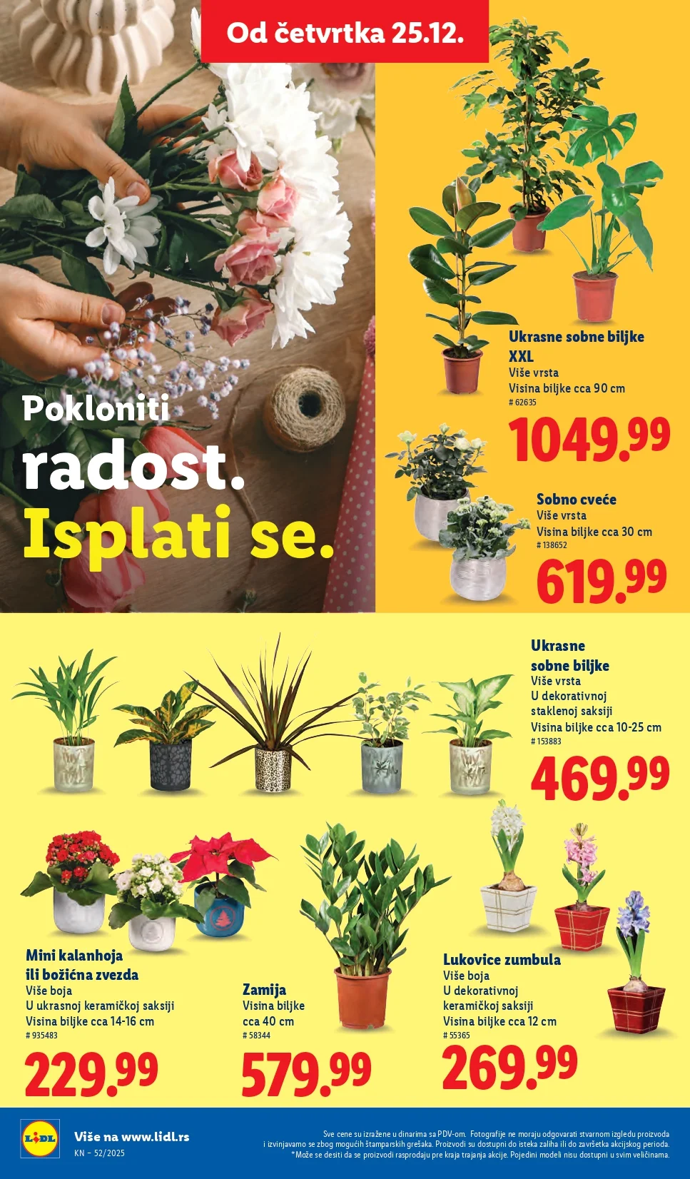 Lidl katalog 25-31.12.2025.