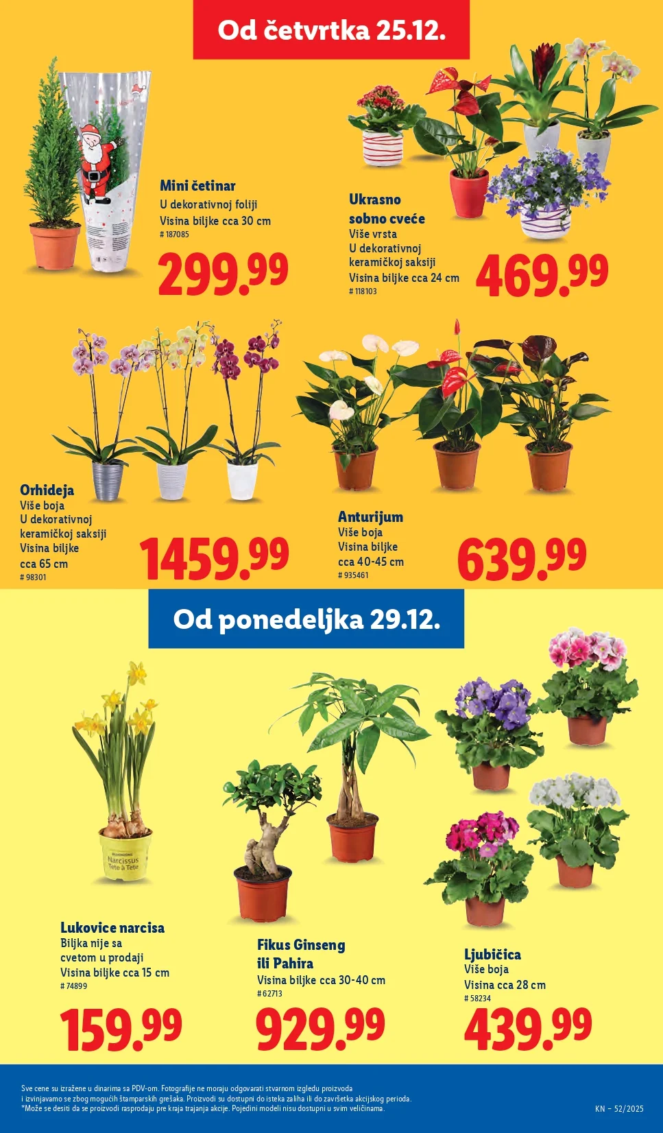 Lidl katalog 25-31.12.2025.