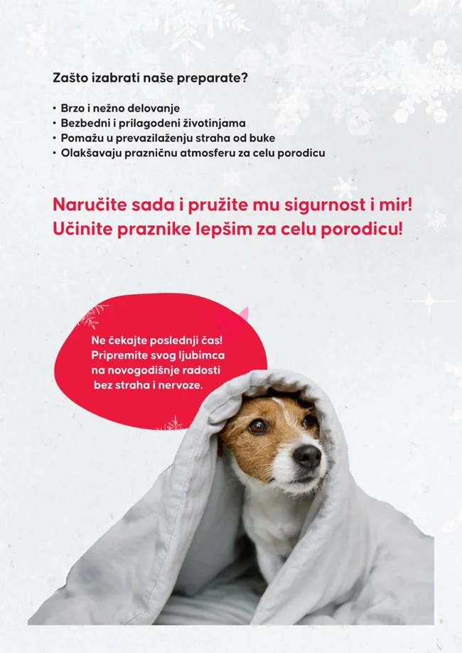 Pet centar katalog 11.12.2025-7.1.2026.