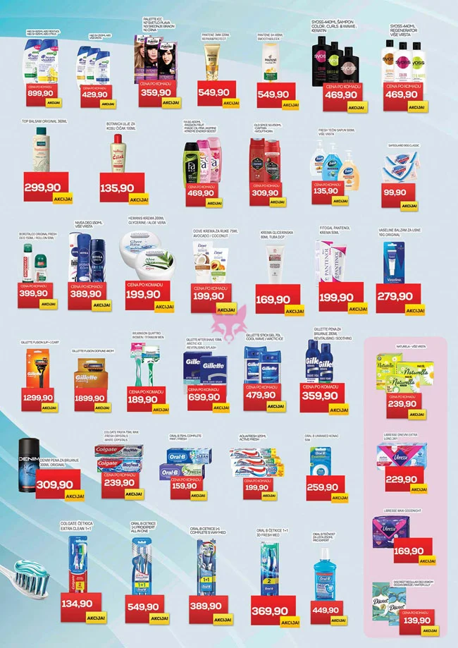 Medius katalog 2-11.1.2026.