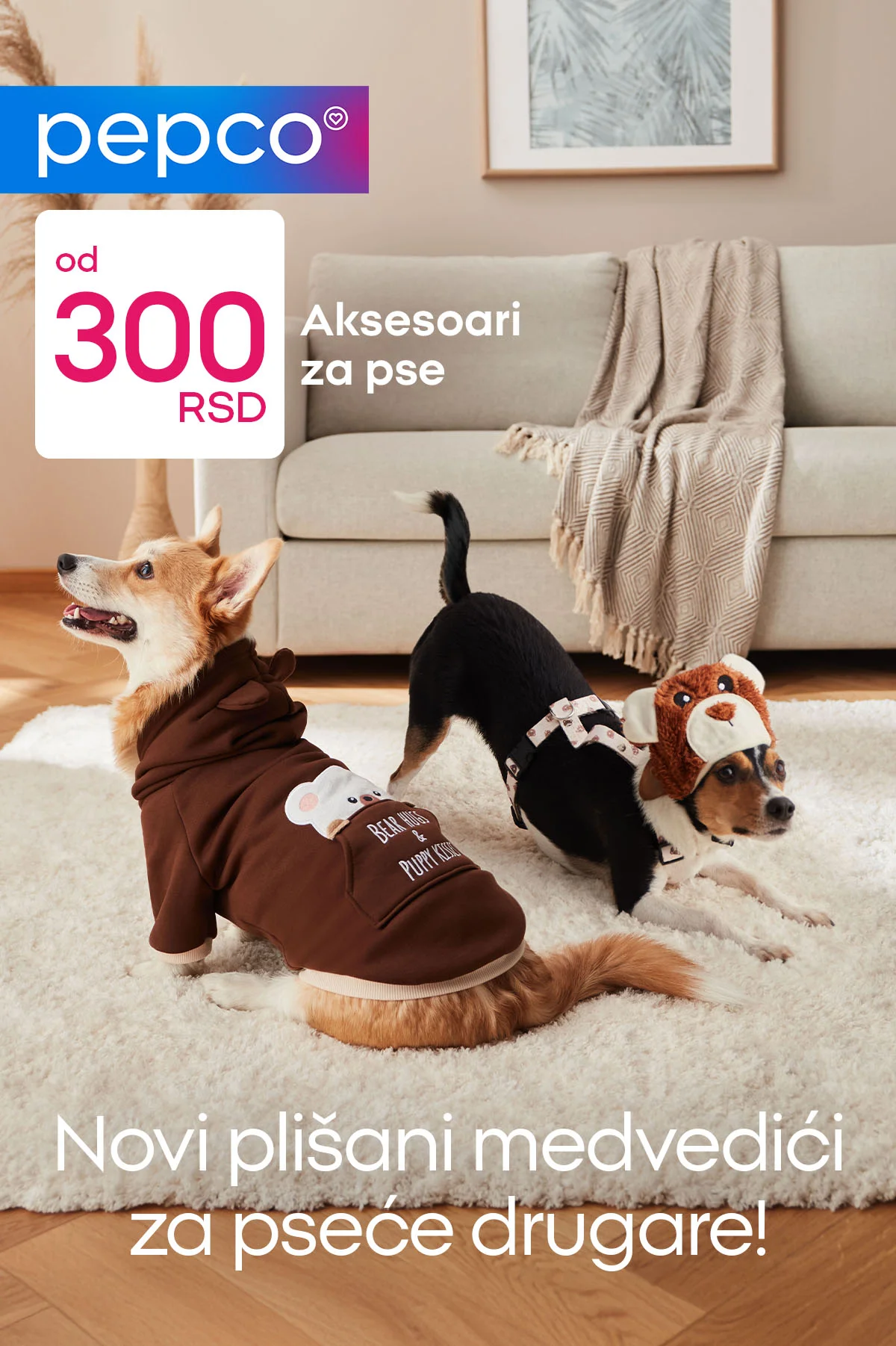 Pepco akcija - aksesoari za pse januar 2026.