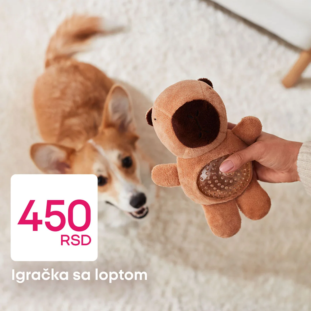 Pepco akcija - aksesoari za pse januar 2026.