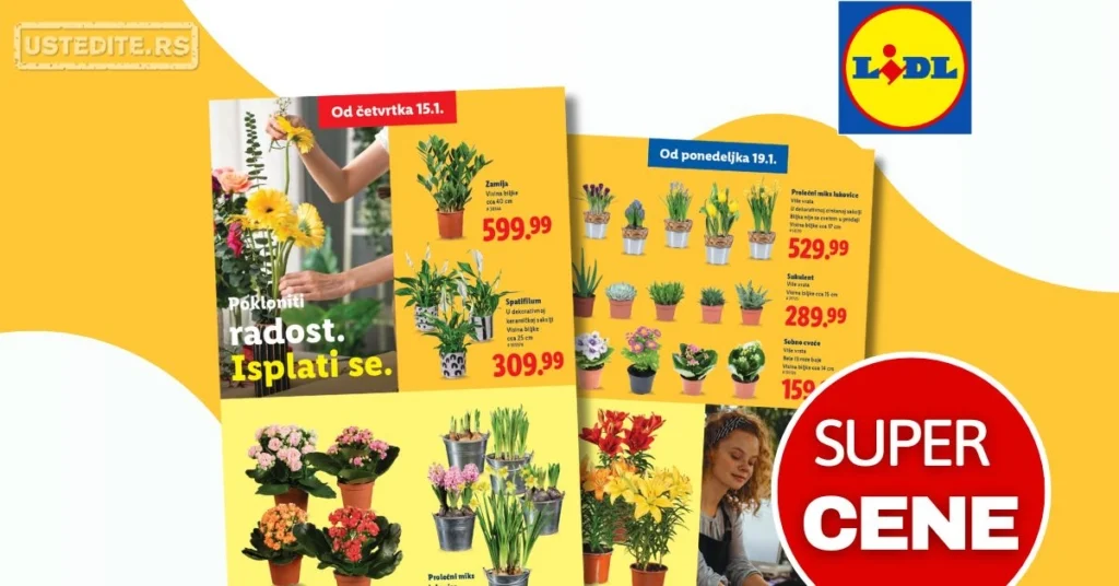 Lidl CVEĆARA 15-21.1.2026.