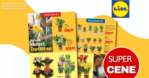 Lidl CVEĆARA 15-21.1.2026.