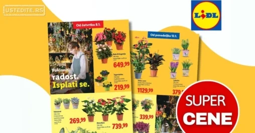Lidl CVEĆARA 8-14.1.2026.