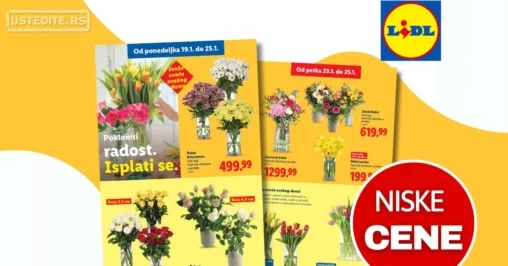 Lidl CVEĆARA 19-28.1.2026.