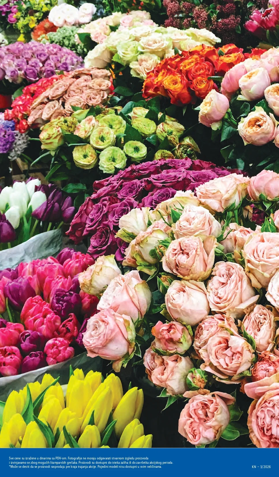 Lidl katalog 15-21.1.2026.