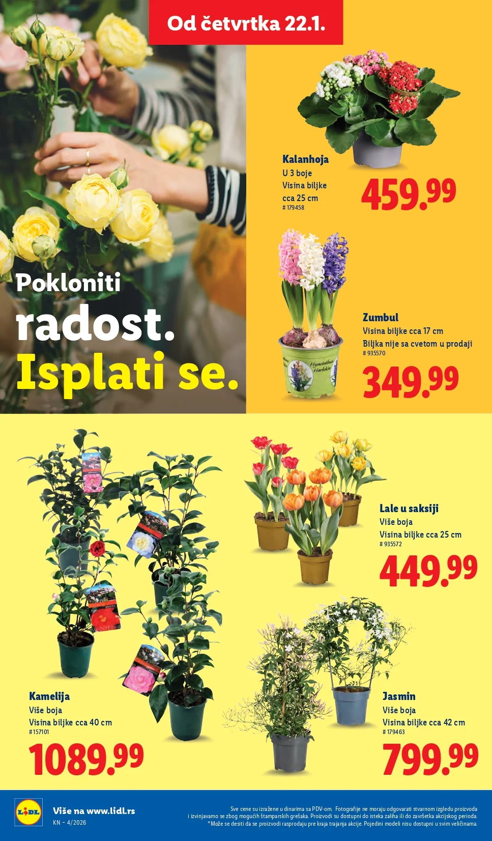 Lidl katalog 22-28.1.2025.