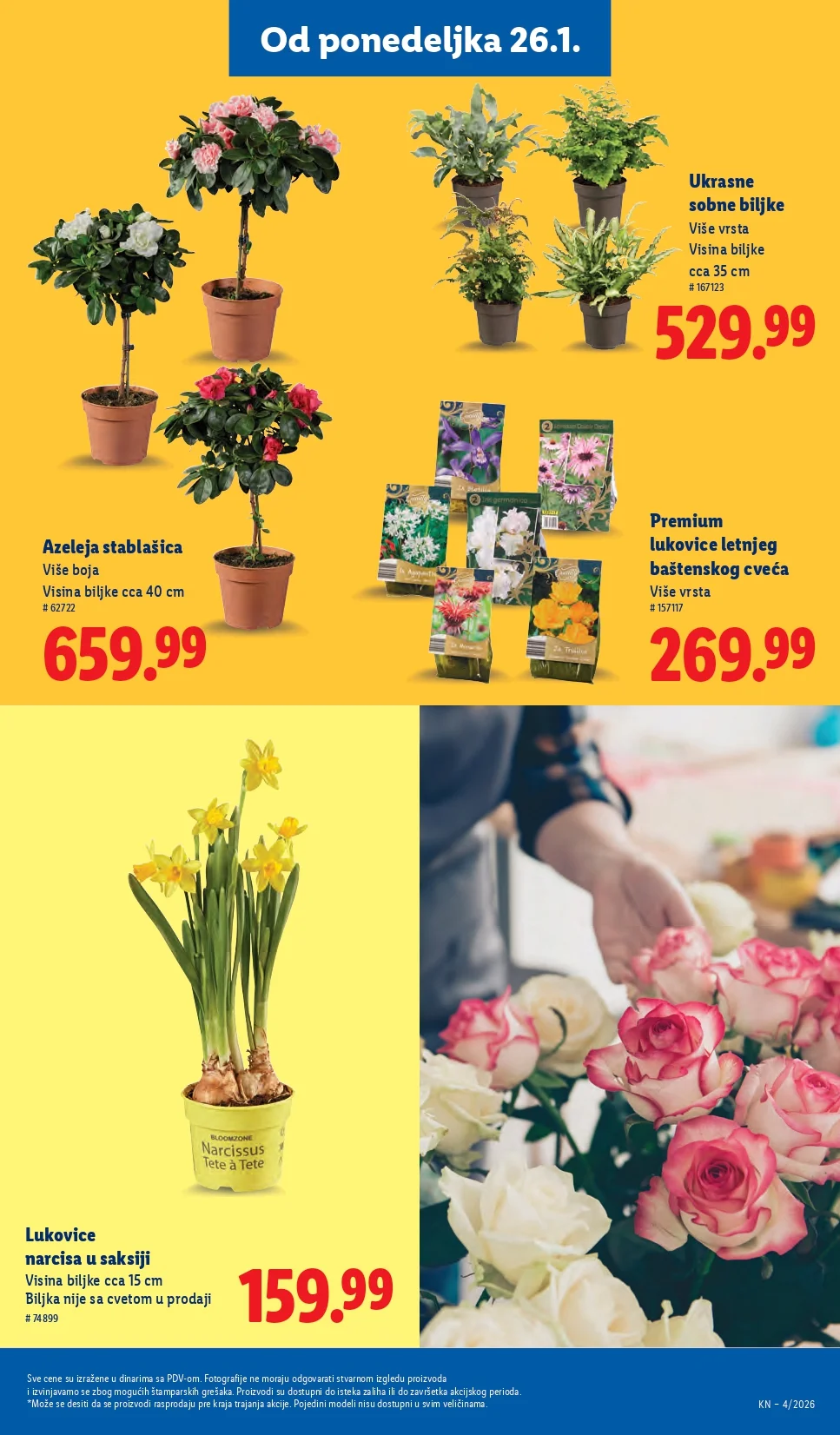 Lidl katalog 22-28.1.2025.