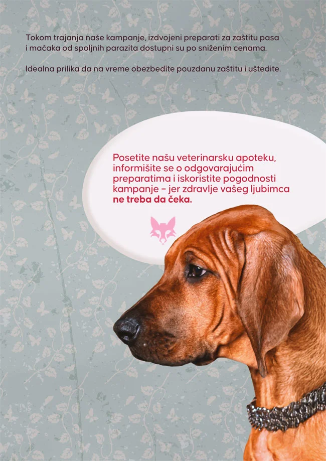 Pet centar katalog 5.2-4.3.2026.