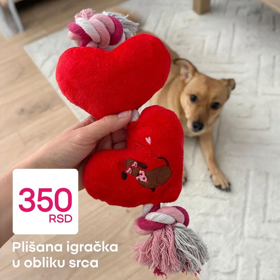 Pepco akcija - aksesoari za pse februar 2026.