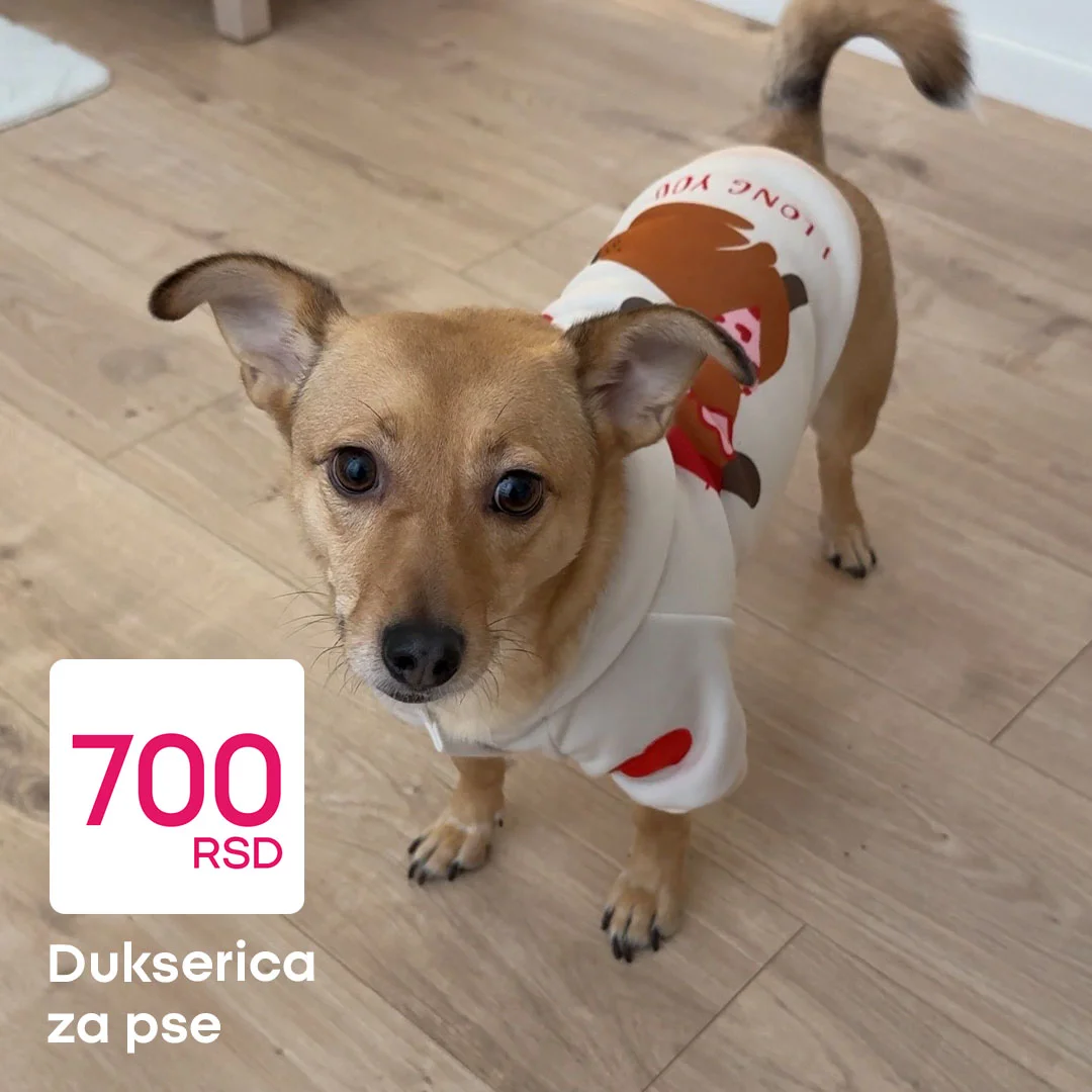 Pepco akcija - aksesoari za pse februar 2026.