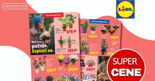 Lidl CVEĆARA 12-18.2.2026.