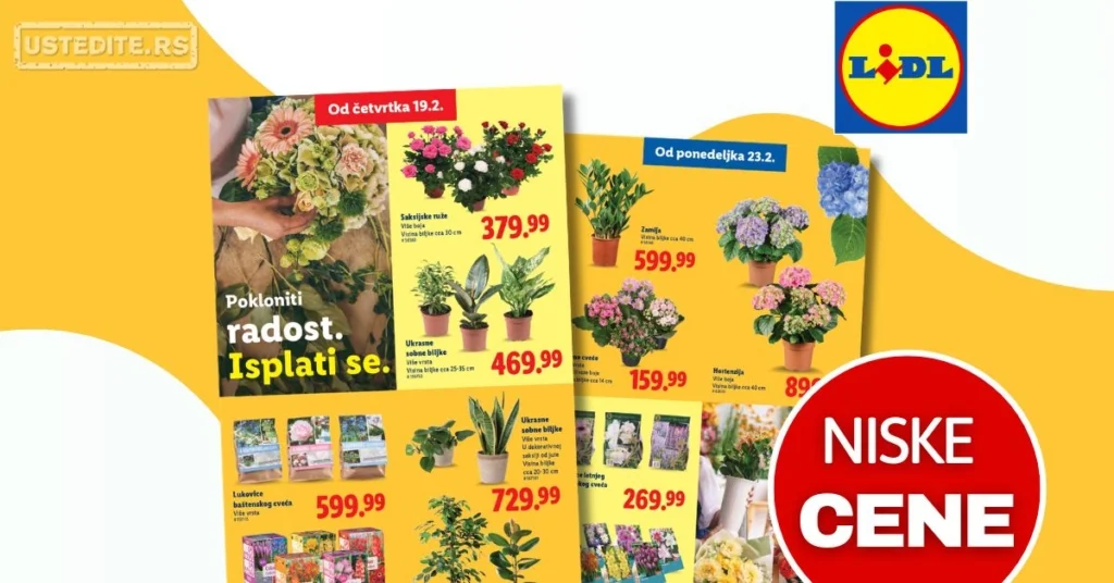 Lidl CVEĆARA 19-25.2.2026.
