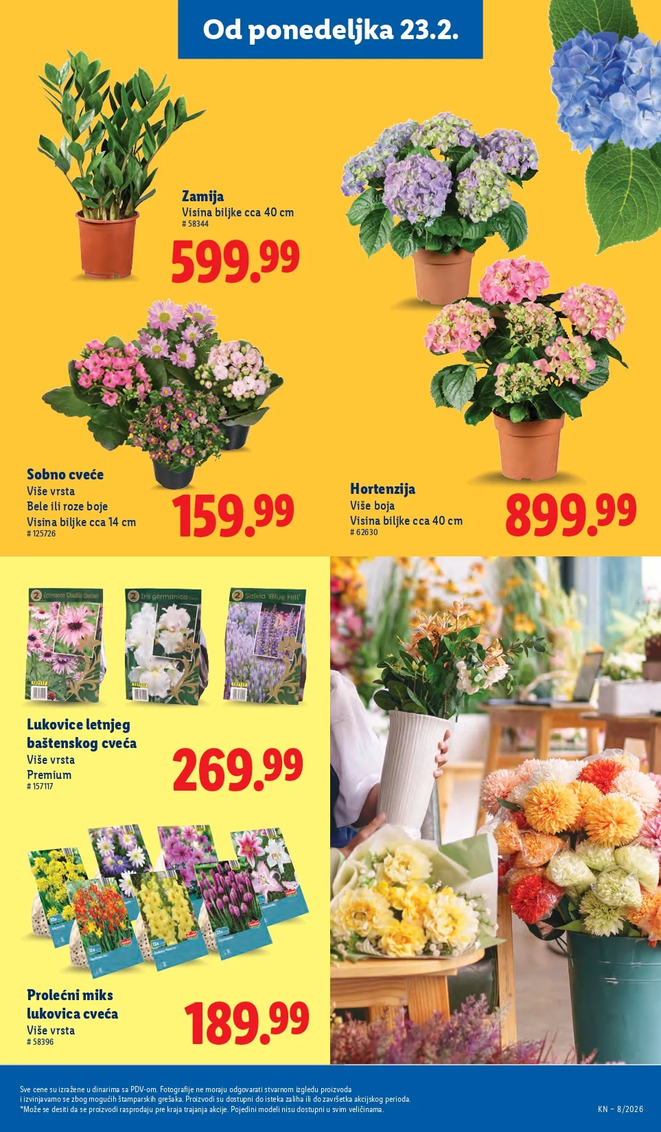 Lidl katalog 19-25.2.2026.