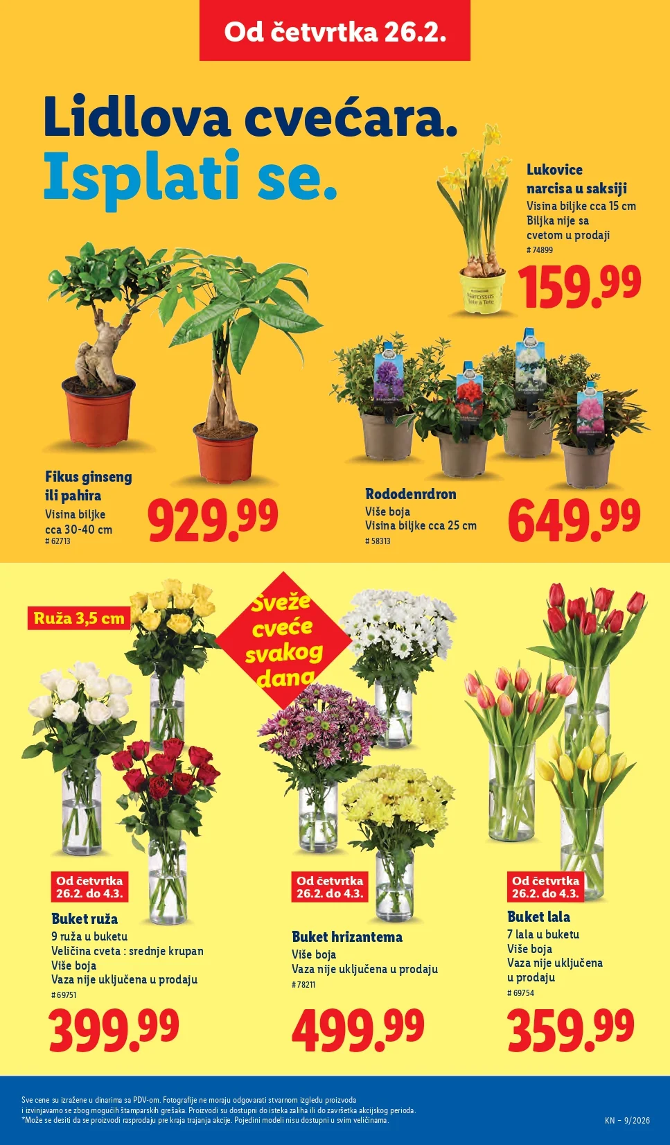 Lidl katalog 26.2-4.3.2026.
