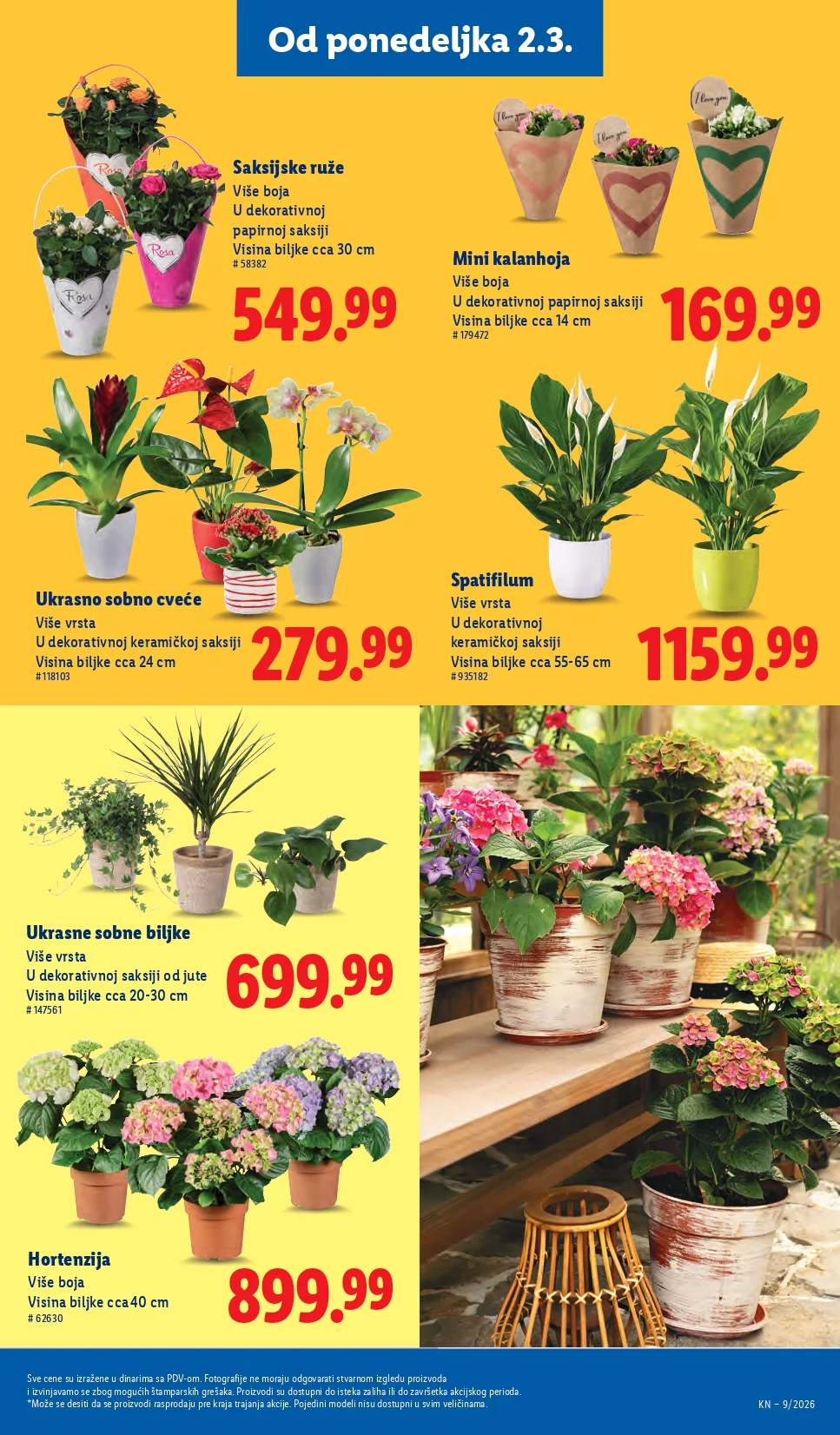 Lidl katalog 26.2-4.3.2026.
