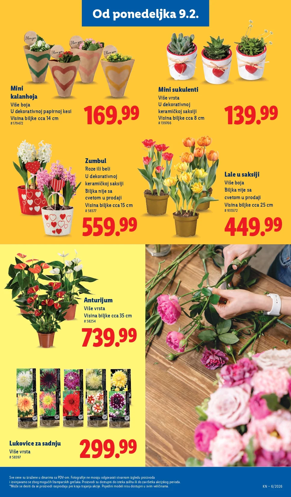 Lidl katalog 5-11.2.2026.