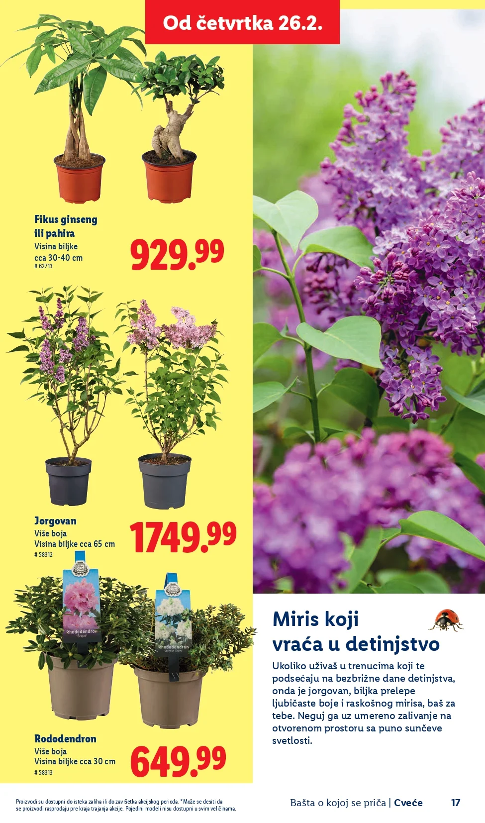 Lidl katalog – baštenska ponuda od 26.2.2026. do isteka zaliha