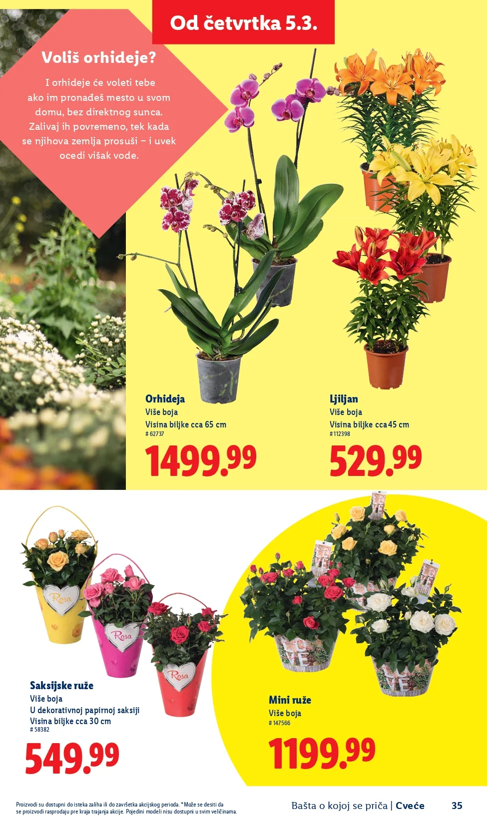 Lidl katalog – baštenska ponuda od 26.2.2026. do isteka zaliha