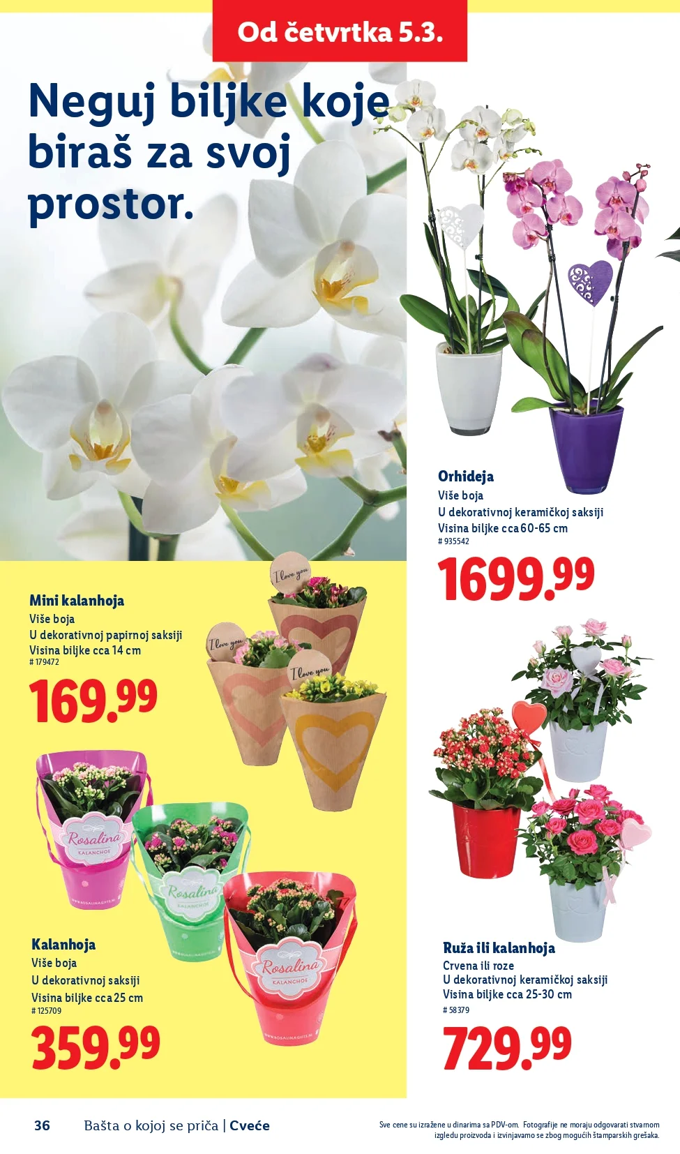 Lidl katalog – baštenska ponuda od 26.2.2026. do isteka zaliha