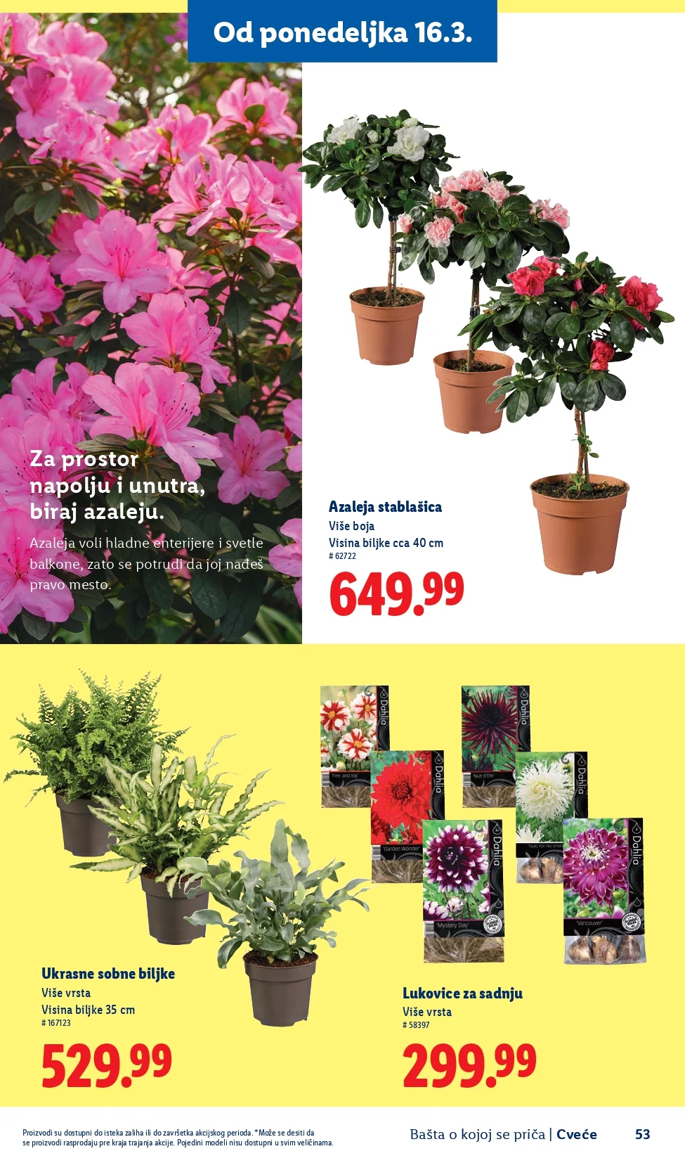 Lidl katalog – baštenska ponuda od 26.2.2026. do isteka zaliha