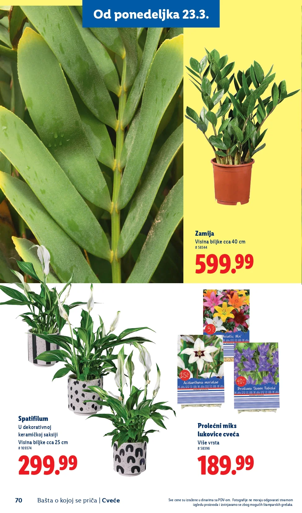 Lidl katalog – baštenska ponuda od 26.2.2026. do isteka zaliha