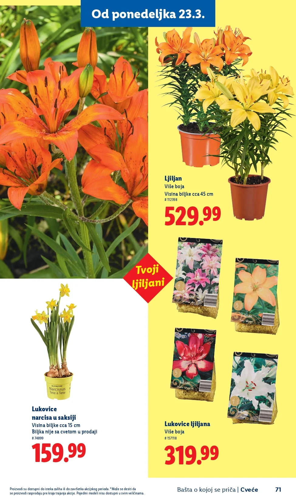 Lidl katalog – baštenska ponuda od 26.2.2026. do isteka zaliha