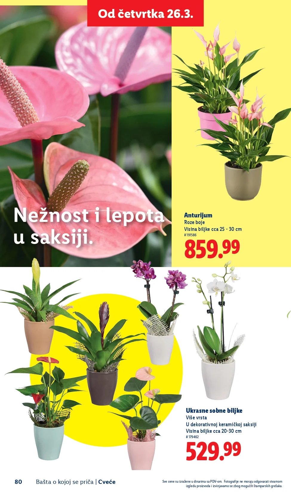Lidl katalog – baštenska ponuda od 26.2.2026. do isteka zaliha