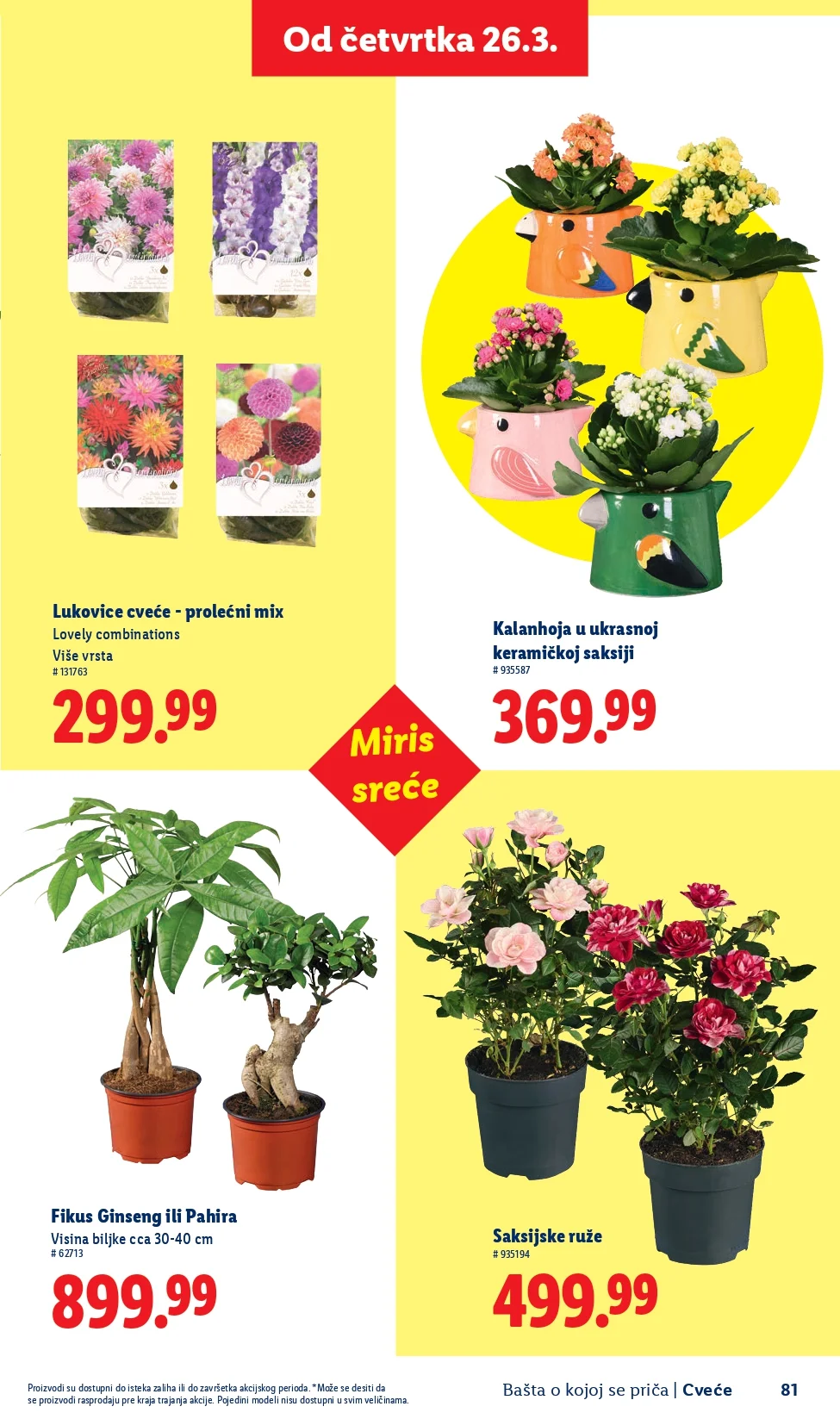 Lidl katalog – baštenska ponuda od 26.2.2026. do isteka zaliha