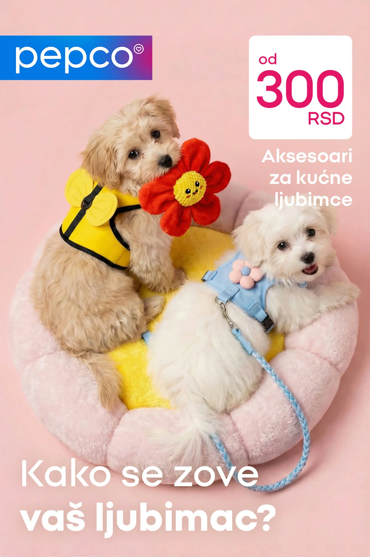 Pepco HITOVI NEDELJE 5-11.3.2026.