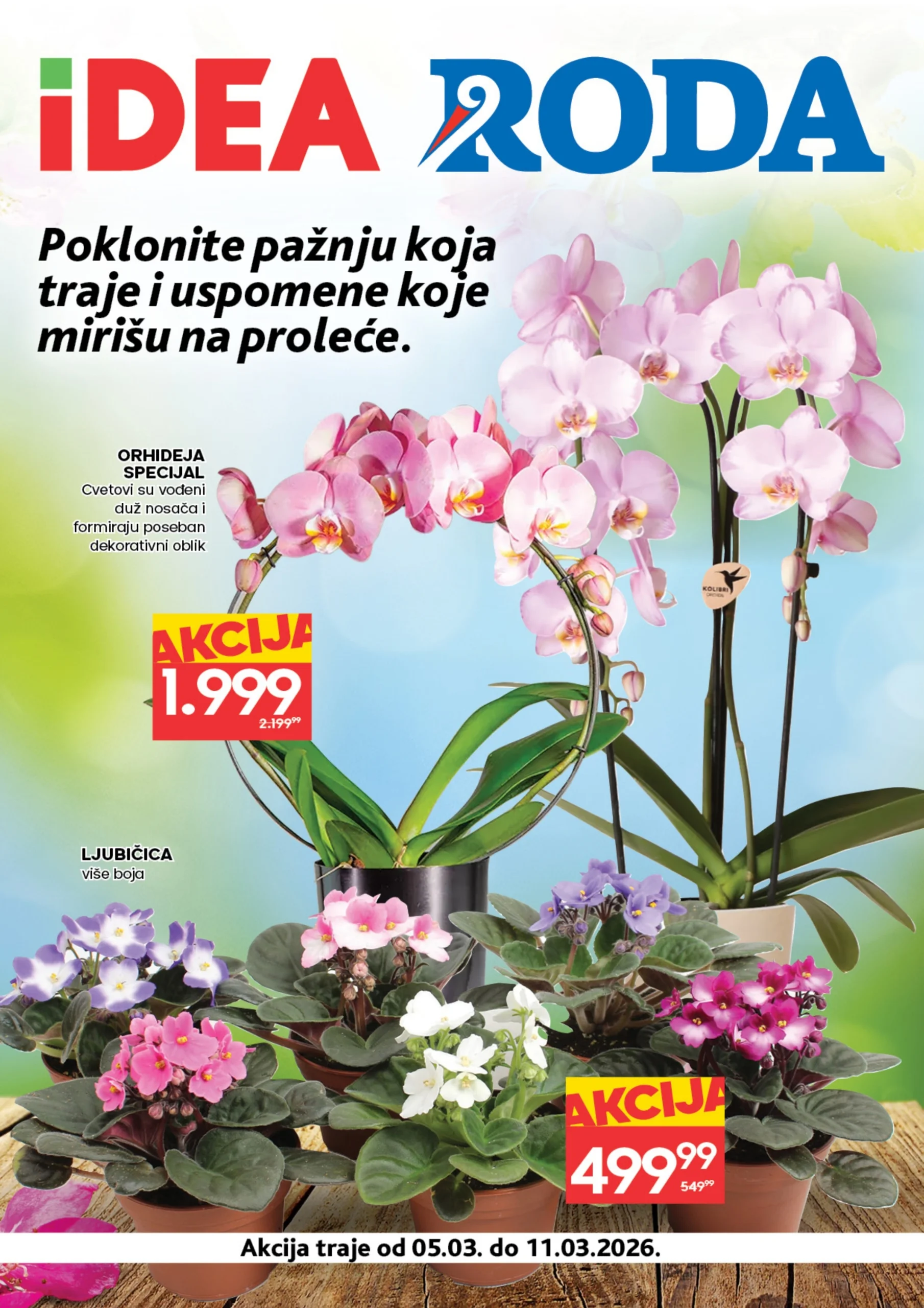 Roda & Idea katalog CVEĆE 5-11.3.2026.