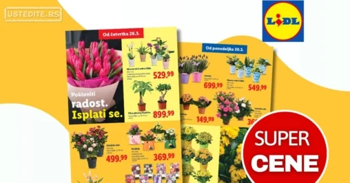 Lidl katalog CVEĆARA 26.3-1.4.2026.