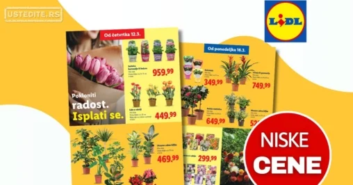 Lidl CVEĆARA 12-18.3.2026.