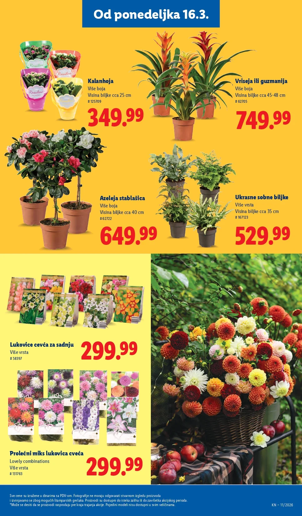 Lidl katalog 12-18.3.2026.