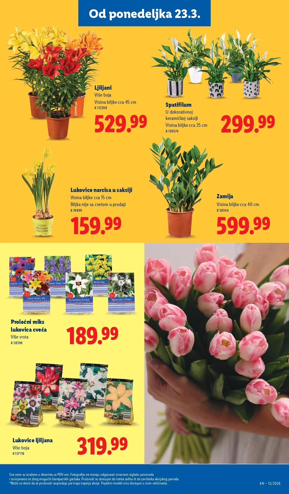 Lidl katalog 19-25.3.2026.