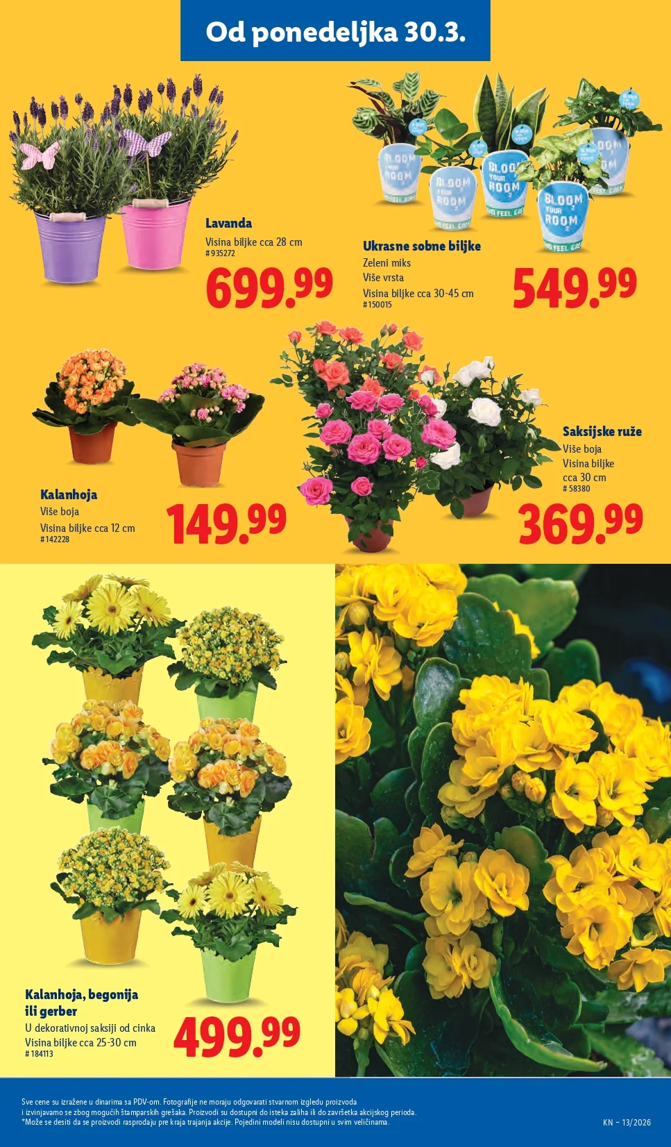 Lidl katalog 26.3-1.4.2026.