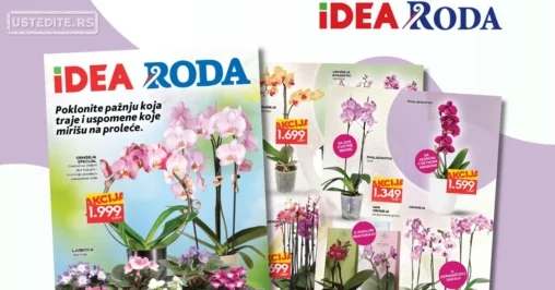 Roda & Idea katalog CVEĆE 5-11.3.2026.