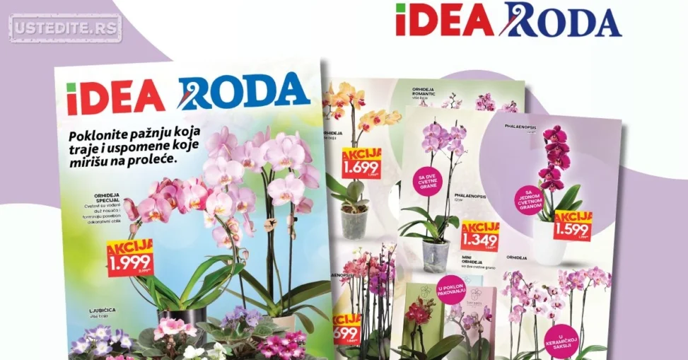 Roda & Idea katalog CVEĆE 5-11.3.2026.