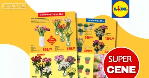 Lidl katalog CVEĆARA 23-29.4.2026.
