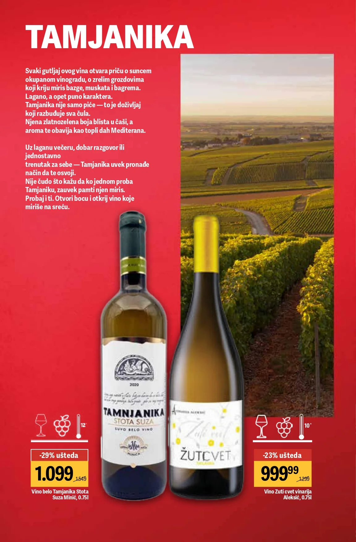 Mega Maxi katalog VINA 2-29.4.2026.