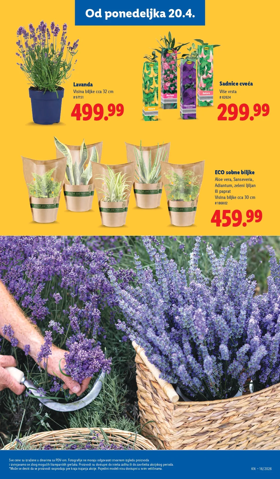Lidl katalog 16-22.4.2026.