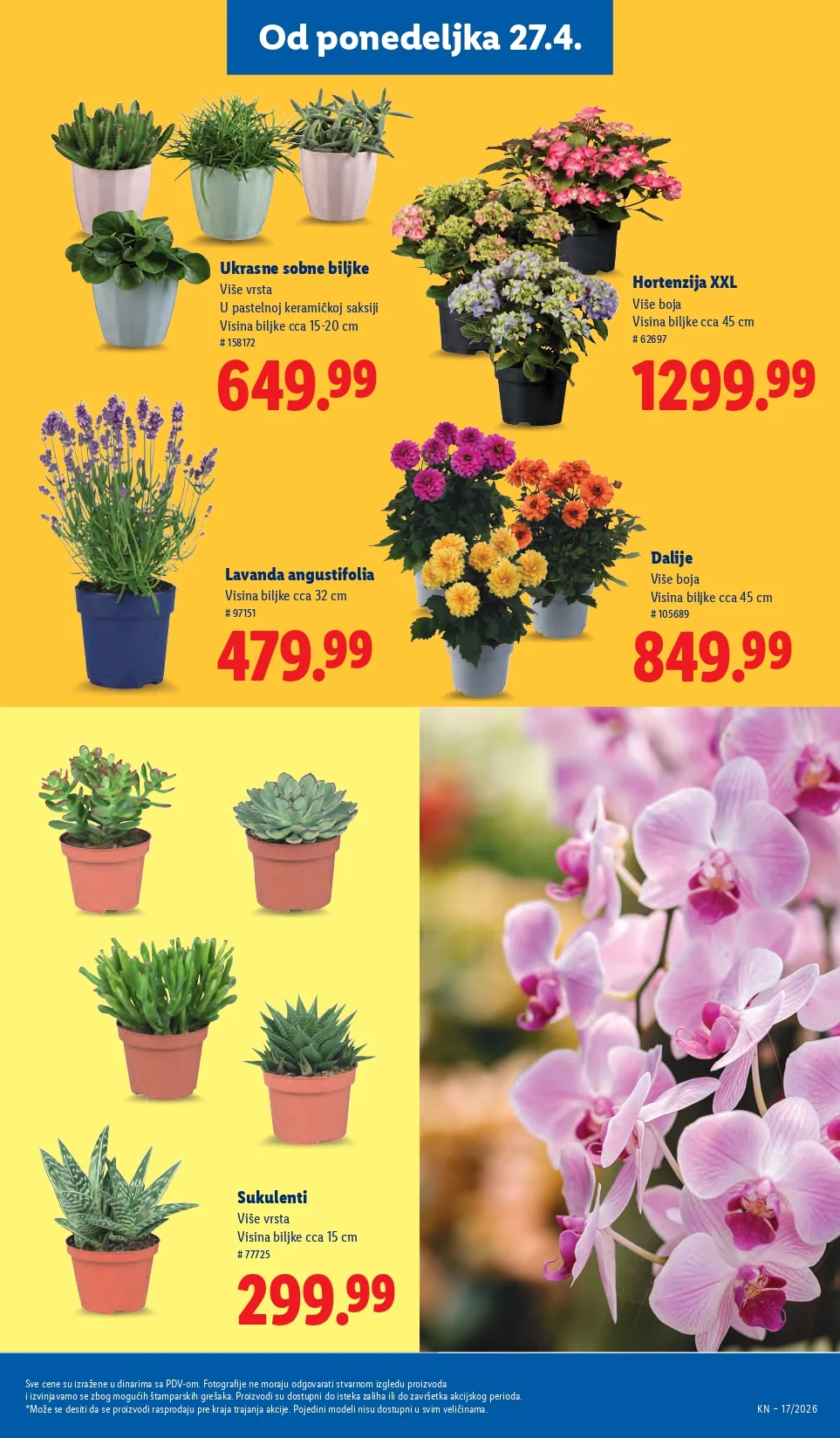 Lidl katalog 23-29.4.2026.